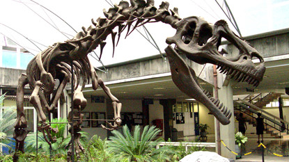 MUSEU DE GEOCIÊNCIAS - Quem gosta de dinossauros, rochas, meteoritos e tem curiosidade de entender a formação do planeta não pode deixar de visitar o Museu de Geociências da USP MUSEU DE GEOCIÊNCIAS - Quem gosta de dinossauros, rochas, meteoritos e tem curiosidade de entender a formação do planeta não pode deixar de visitar o Museu de Geociências da USP