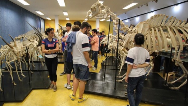 MUSEU DE ANATOMIA VETERINÁRIA - O museu conta com coleções relacionada à anatomia veterinária, mas a organização do acervo na exposição do Museu